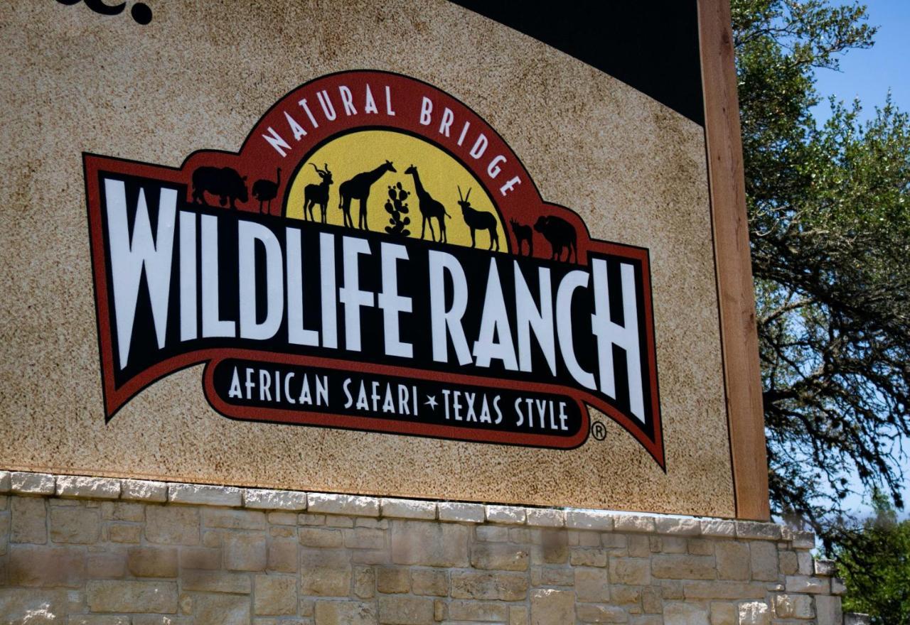 Staybridge Suites - San Antonio - Schertz, an IHG Hotel Exterior foto
